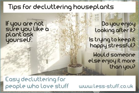 decluttering houseplants