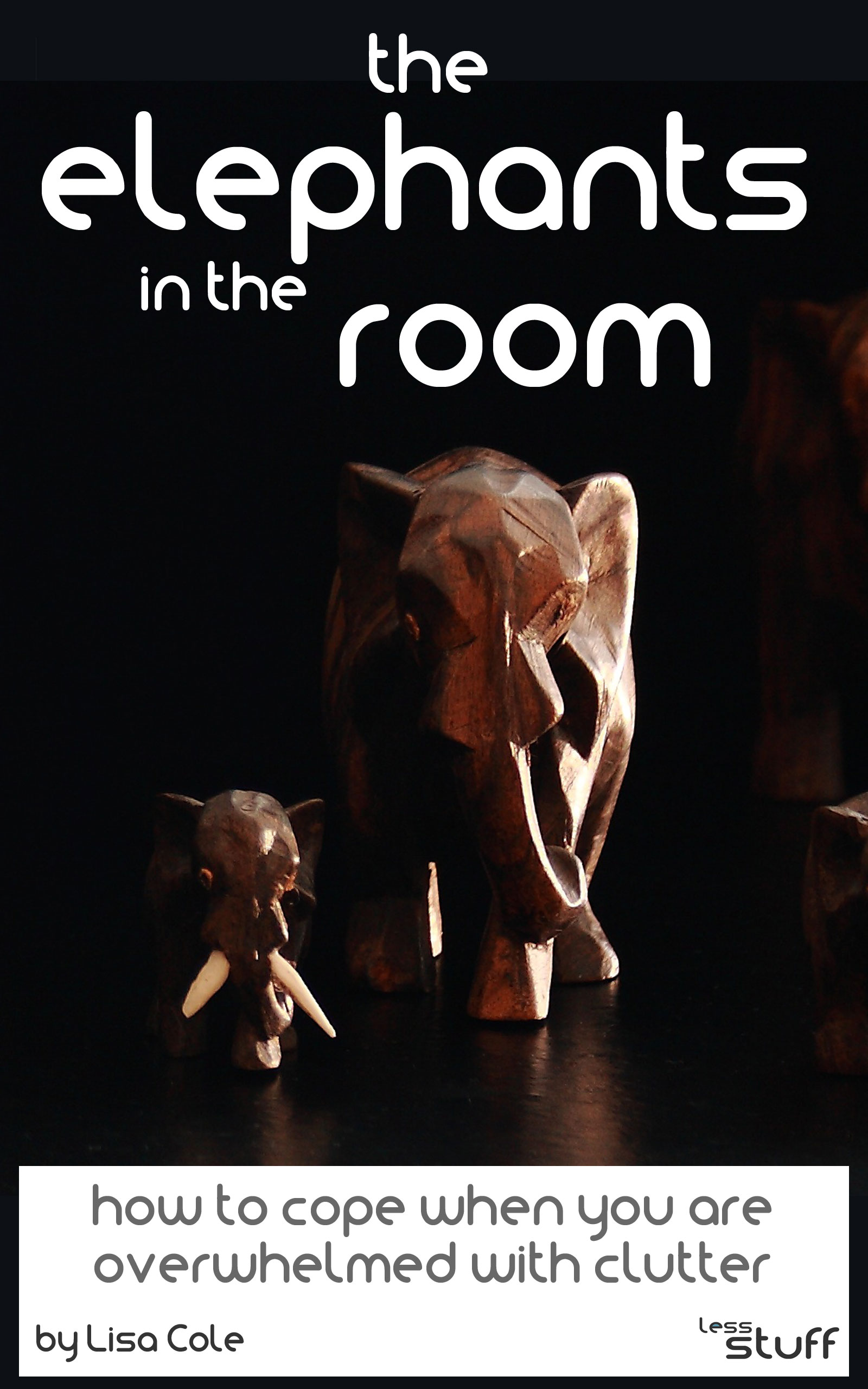 The Elephants in the Room