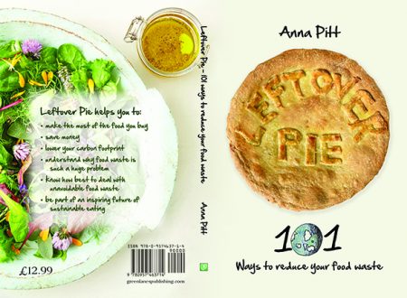 Anna Pitt Leftover Pie