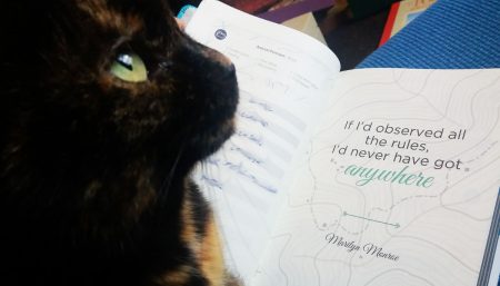 Bug the cat has a manifesto that includes 'never leave a human unsupervised'