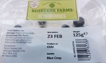 blueberries from chili