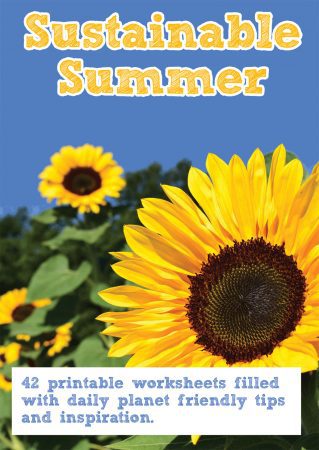Sustainable summer book cover